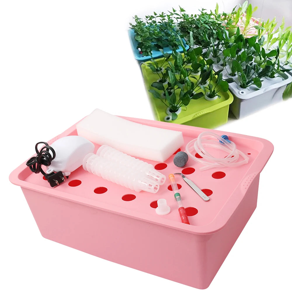 Hydroponic Growing System Kit with 24 Plant Sites and Oxygen Pump for Indoor Gardening