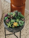 Plantas suculentas artificiales - Cactus de imitación realistas para decoración del hogar y la oficina | Miniplantas decorativas