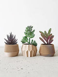 Plantas suculentas artificiales - Cactus de imitación realistas para decoración del hogar y la oficina | Miniplantas decorativas
