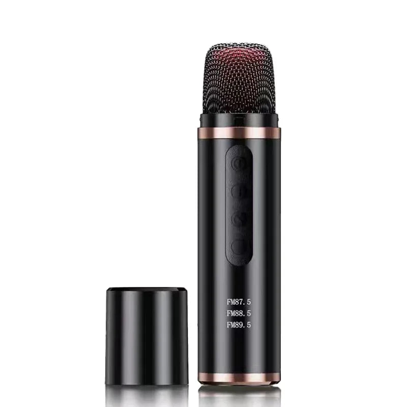 Wireless Bluetooth Karaoke Microphone with Echo Reverb & AUX Input