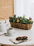 Plantas suculentas artificiales - Cactus de imitación realistas para decoración del hogar y la oficina | Miniplantas decorativas