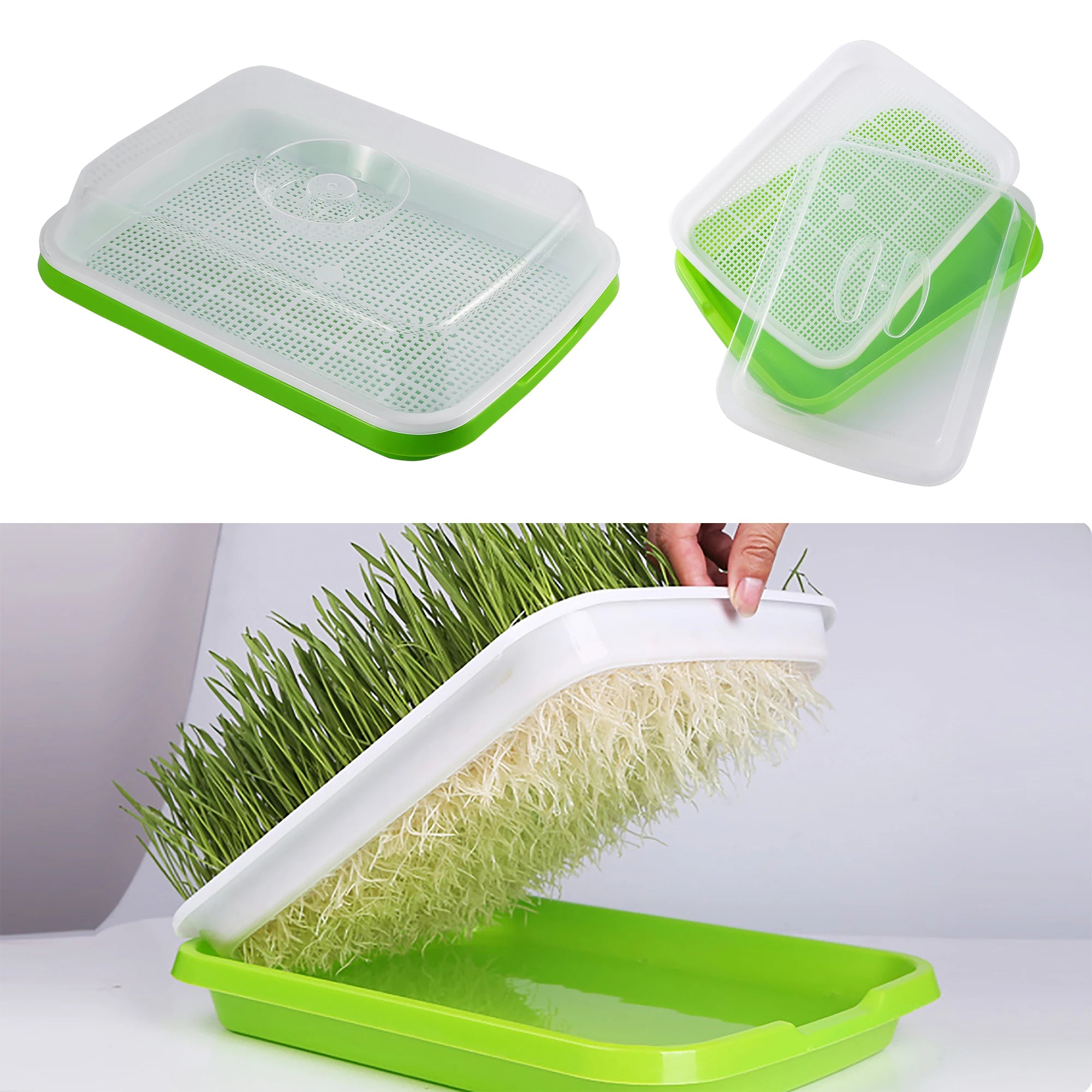 Seed Germination Tray – Soilless Sprouting Kit for Wheatgrass, Beans & Microgreens