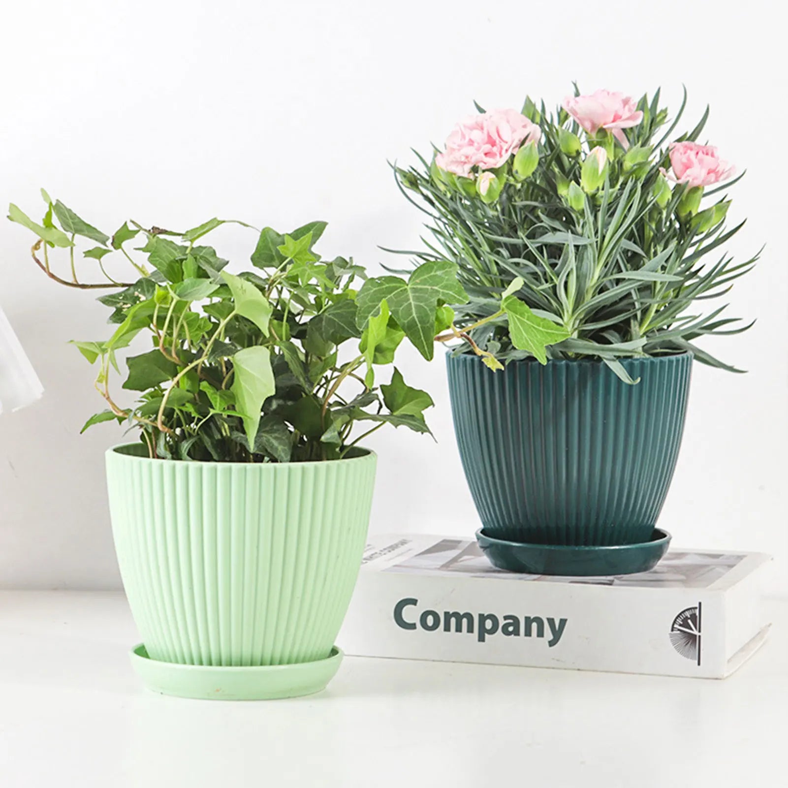 Modern Resin Plant Pots with Drainage – Minimalist Indoor Planters for Succulents & Small Plants