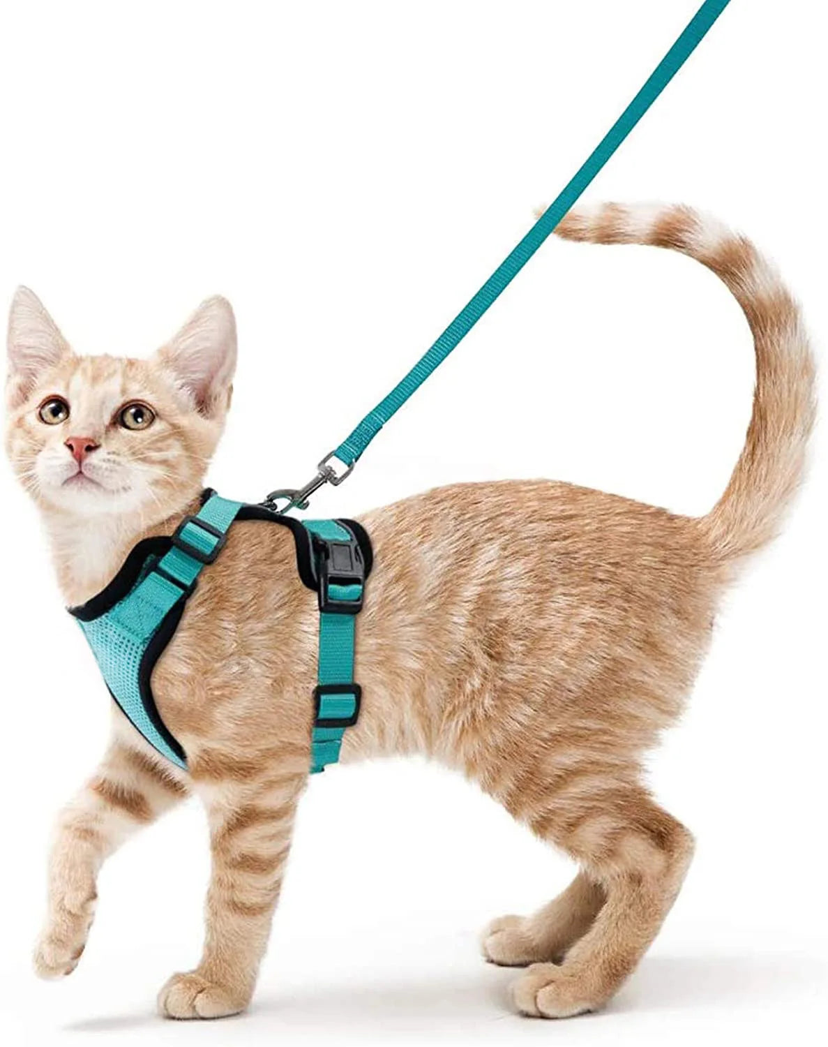 Escape-Proof Cat Harness and Leash Set - Adjustable Soft Vest for Safe Outdoor Adventures