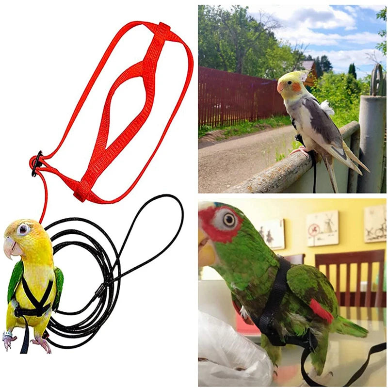 Adjustable Bird Flight Harness with Leash – Comfortable, Secure & Ideal for Outdoor Training