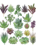 Plantas suculentas artificiales - Cactus de imitación realistas para decoración del hogar y la oficina | Miniplantas decorativas