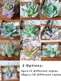 Plantas suculentas artificiales - Cactus de imitación realistas para decoración del hogar y la oficina | Miniplantas decorativas