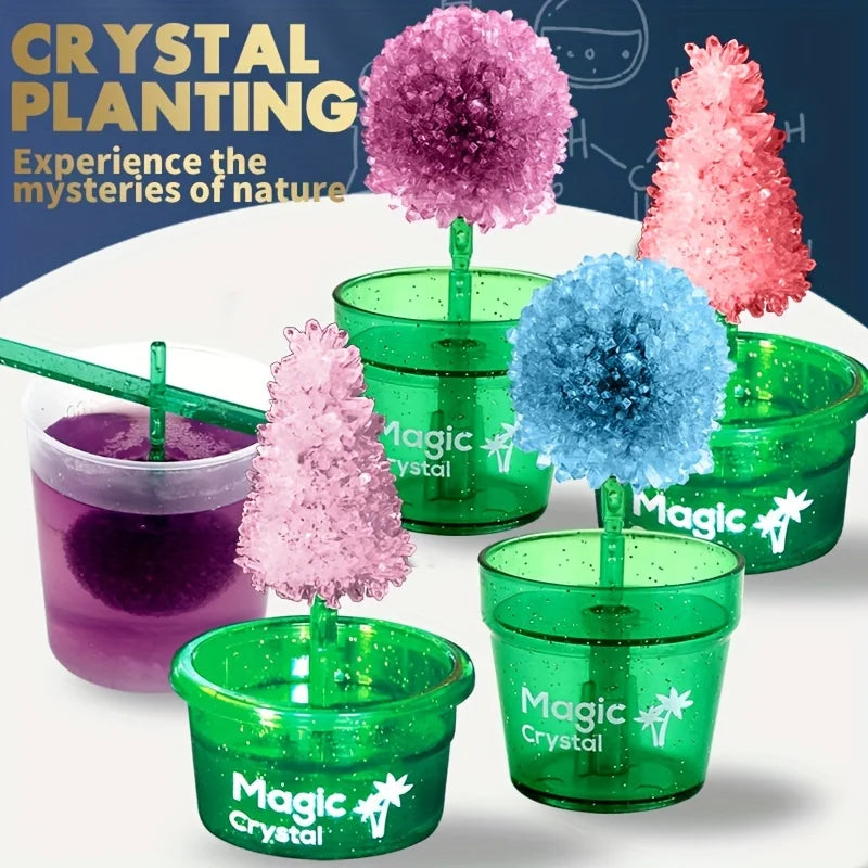 DIY Crystal Flower Growing Kit - STEM Science Experiment for Kids
