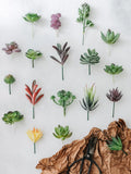 Plantas suculentas artificiales - Cactus de imitación realistas para decoración del hogar y la oficina | Miniplantas decorativas