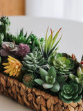 Plantas suculentas artificiales - Cactus de imitación realistas para decoración del hogar y la oficina | Miniplantas decorativas