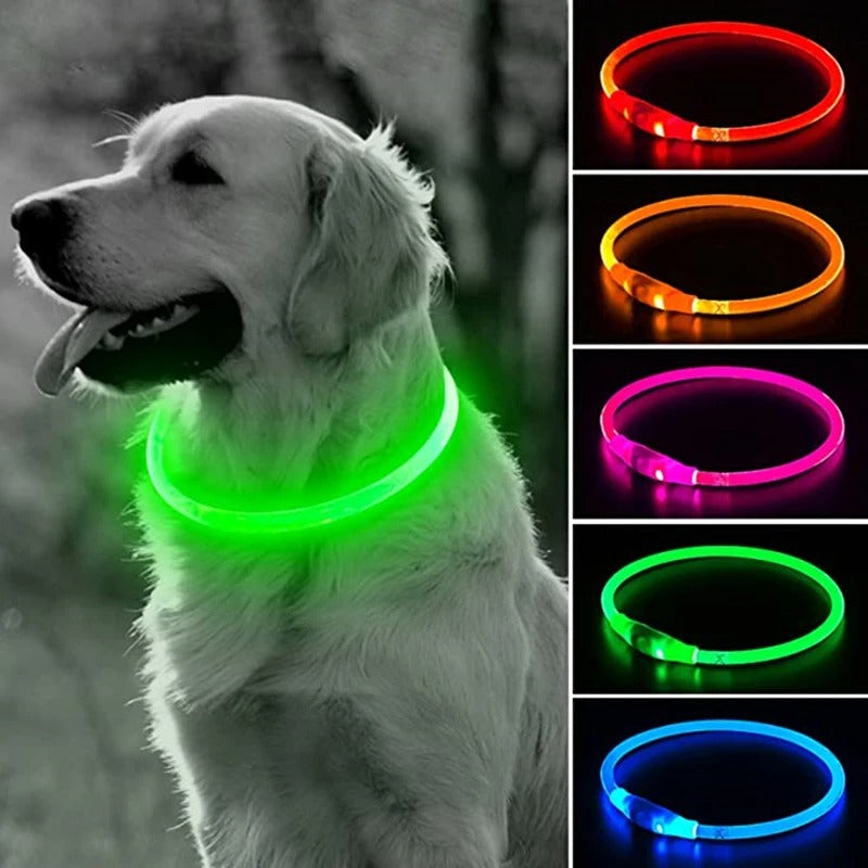 USB Rechargeable LED Dog Collar – Glowing Night Safety Collar