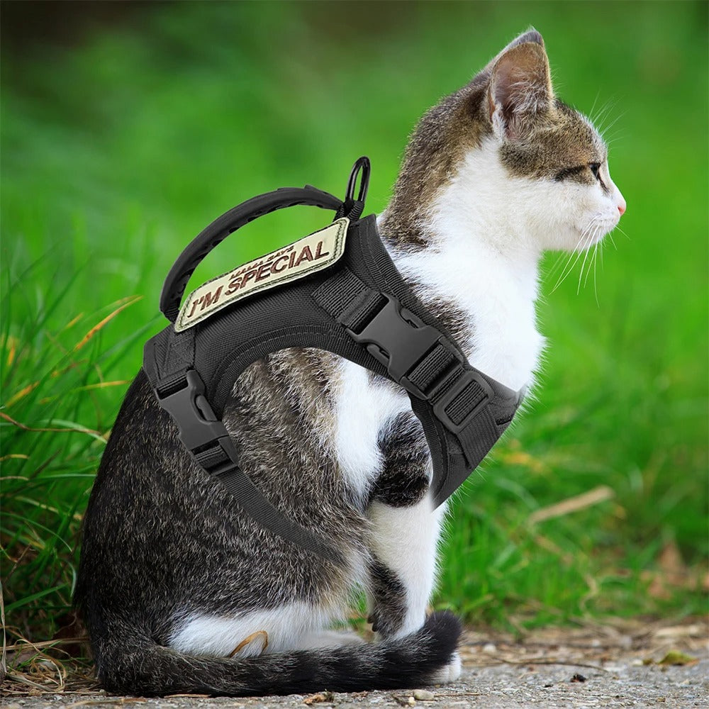 Tactical Pet Harness – Adjustable Military Vest for Small Dogs & Cats