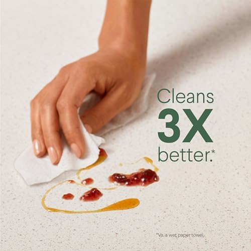 Disinfecting Cleaning Wipes – Multi-Surface Germ-Killing Wipes with Fresh & Citrus Scent