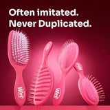 Gentle Detangling Hair Brush for Wet & Dry Hair with Flexible Anti-Breakage Bristles
