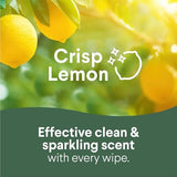 Disinfecting Cleaning Wipes – Multi-Surface Germ-Killing Wipes with Fresh & Citrus Scent