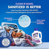 Laundry Sanitizer & Odor Eliminator – Color Safe, Lavender Scent, Kills 99.9% of Bacteria