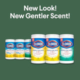 Disinfecting Cleaning Wipes – Multi-Surface Germ-Killing Wipes with Fresh & Citrus Scent