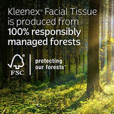 Ultra Soft Facial Tissues – 3-Ply Gentle, Strong & Hypoallergenic Everyday Tissues