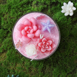 Succulent DIY Scented Candle Making Kit – Handmade Aromatherapy Candles for Beginners & Christmas Gifts