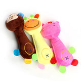 Plush Squeaky Dog Toys – Durable Chew Toys for Small & Medium Breed Puppies