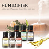 Premium Pure Essential Oil Combo Set for Aromatherapy & Air Purification