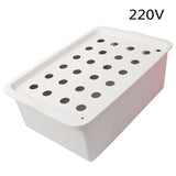 Hydroponic Growing System Kit with 24 Plant Sites and Oxygen Pump for Indoor Gardening