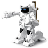 Mini Remote Control Boxing Robot Toy with Lights & Sound – Interactive Battle Robots for Kids 6+