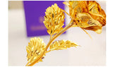 24K Gold Rose Flower - Luxury Valentine's Gift with Velvet Box