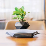 Magnetic Levitating Flower Pot - Floating Bonsai Planter for Home & Office Decor