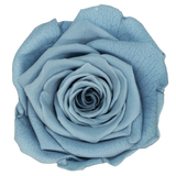 B Grade 4-5cm Preserved Roses Preserved Flower Fresh Natural Real Eternal Rose Immortal Rose Flowers Florist DIY Floral Material