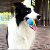 Durable TPR Dog Ball – Chew-Resistant Toy for Interactive Play