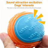 Durable TPR Dog Ball – Chew-Resistant Toy for Interactive Play
