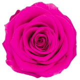 B Grade 4-5cm Preserved Roses Preserved Flower Fresh Natural Real Eternal Rose Immortal Rose Flowers Florist DIY Floral Material