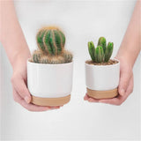 Classic Plastic Flower Pot with Double-Layer Water Storage Tray