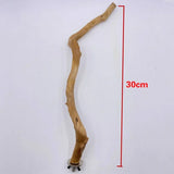 Natural Wood Parrot Perch – Bird Cage Standing Stick & Climbing Toy