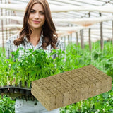 50pc Sponge Block Starter Plugs - Hydroponic Grow Cubes for Seed Starting & Plant Propagation