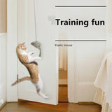 Interactive Hanging Cat Toy with Door Frame Hook – Stimulating Play for Indoor Cats