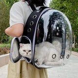 Transparent Bubble Cat Backpack Carrier – Ventilated Travel Bag for Cats & Small Pets