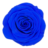 B Grade 4-5cm Preserved Roses Preserved Flower Fresh Natural Real Eternal Rose Immortal Rose Flowers Florist DIY Floral Material