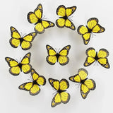3D Monarch Butterfly Wall Stickers – Realistic PVC Window & Wall Decor for Home, Party & Gifts
