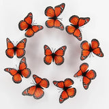 3D Monarch Butterfly Wall Stickers – Realistic PVC Window & Wall Decor for Home, Party & Gifts