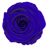 B Grade 4-5cm Preserved Roses Preserved Flower Fresh Natural Real Eternal Rose Immortal Rose Flowers Florist DIY Floral Material