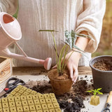 Rockwool Hydroponic Grow Cubes - Seed Starter Plugs for Soilless Gardening