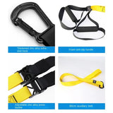 P3-Trx Suspension Training Belt – Full-Body Workout, Unisex Fitness Strap for Strength Training at Home