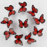 3D Monarch Butterfly Wall Stickers – Realistic PVC Window & Wall Decor for Home, Party & Gifts