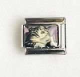 DIY Cartoon Cat Italian Charm Links for Stainless Steel Bracelets – Trendy Modular Jewelry Accessories