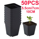 50-Pack Square Seedling Pots - Reusable Deep Nursery Planters for Indoor/Outdoor Gardening