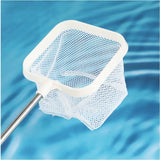 Stainless Steel Fish and Shrimp Catching Net – Durable, Gentle & Cost-Effective