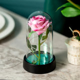 Eternal Rose in Glass Dome with LED Lights - Romantic Valentine's Day Gift