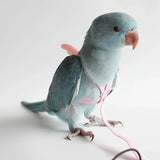 Adjustable Parrot Flying Harness with Leash – Safe & Comfortable Bird Flight Training Gear